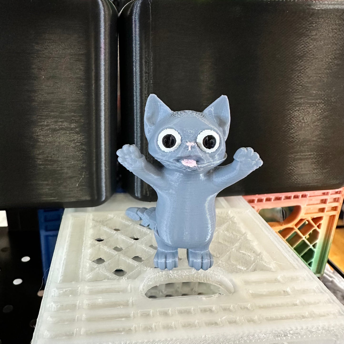 Mini Pocket Friends