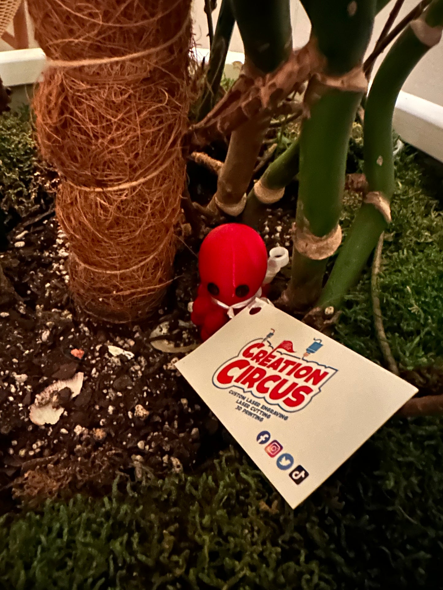 Voyage Cruise Red Octopus