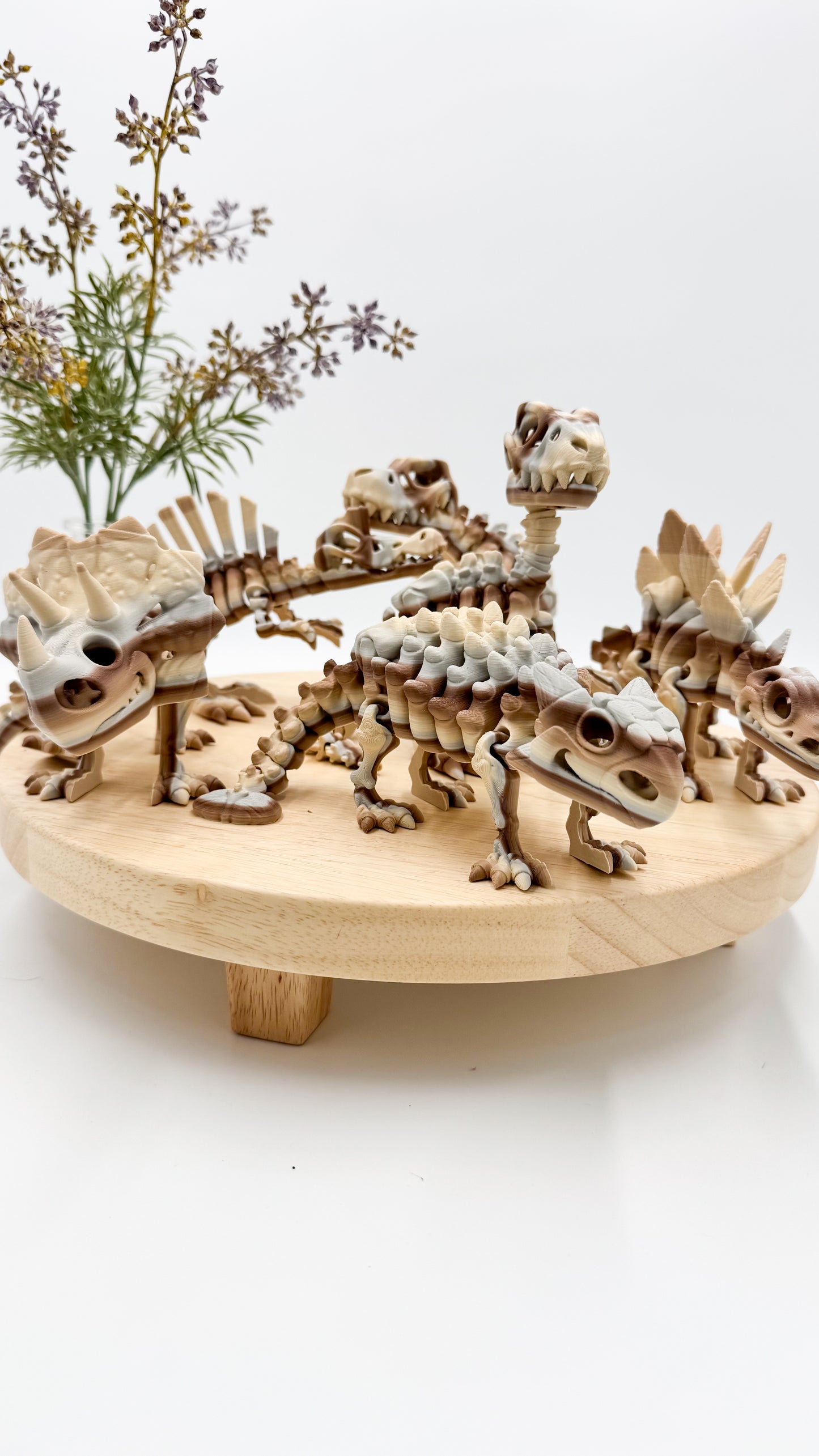 Skeleton Dinosaur Pack