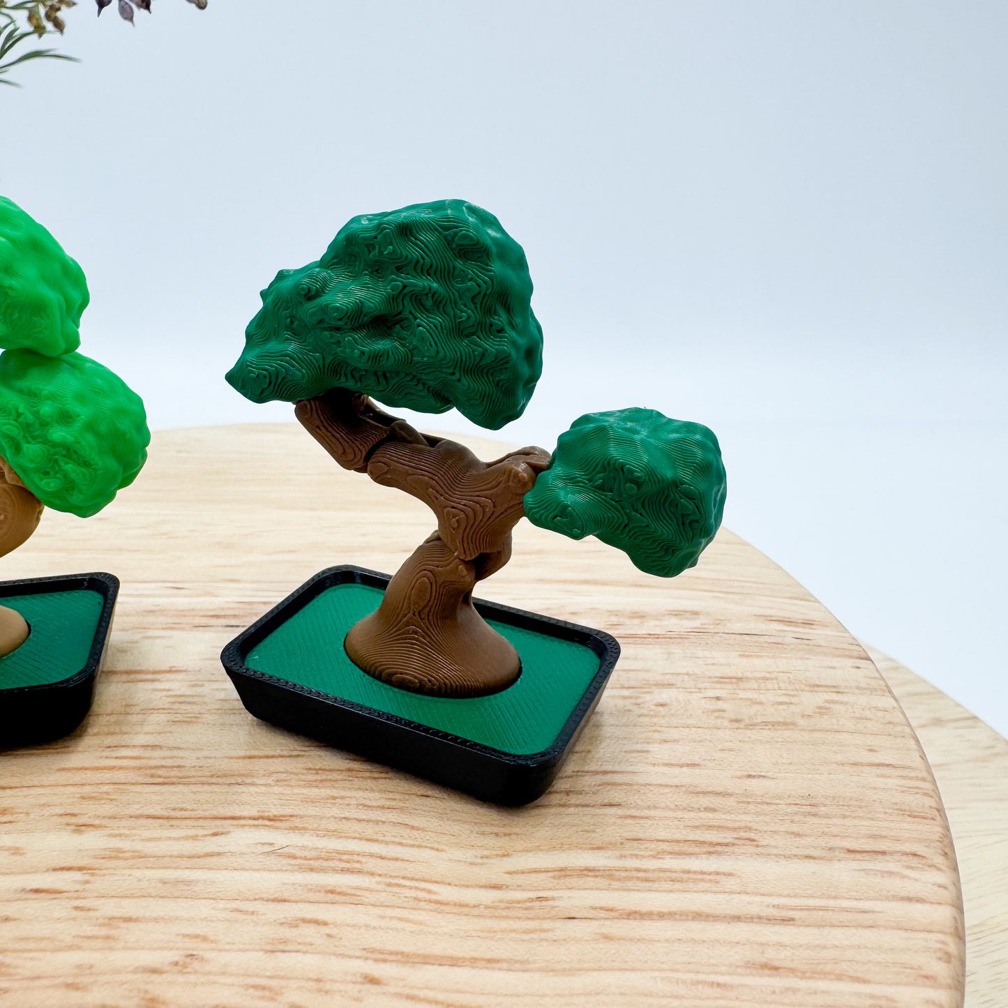 Pocket Plants - 3D Printed Mini Plant Decor Collectible