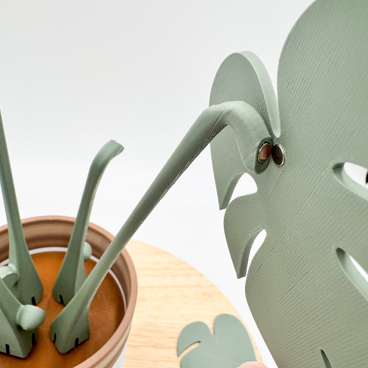 Monstera Coaster Plant - 3D Printed Magnetic Coaster Leaves