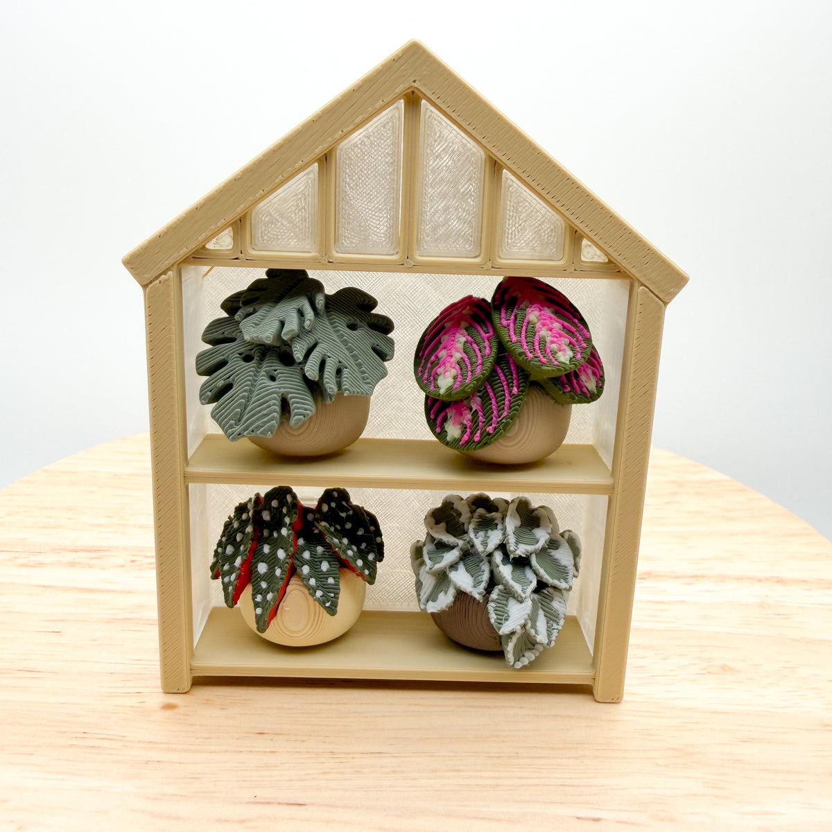 Bookshelf & Greenhouse Book Lover Clickie 3D Printed Fidget