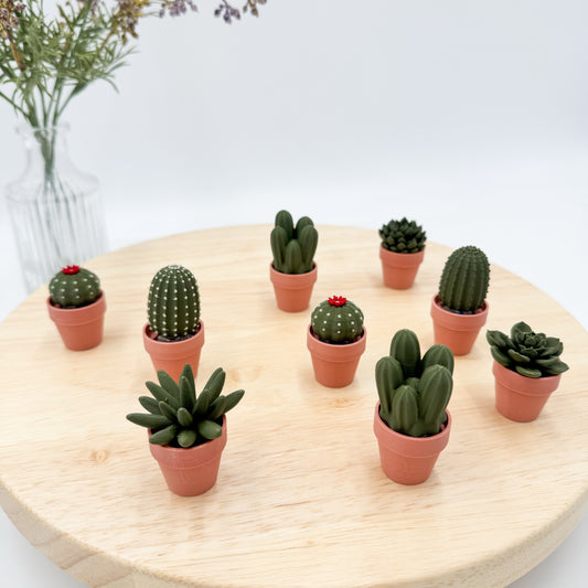 Pocket Plants - 3D Printed Mini Plant Decor Collectible