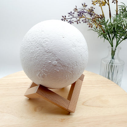 Lithophane Moon & Earth Display - 3D Printed Collectible