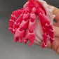 Flexi Hermit Crab
