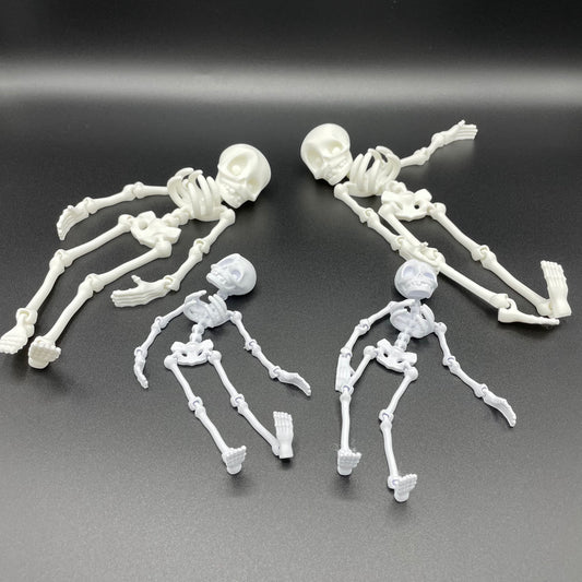3D Printed Large Flexi Skeleton