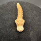 Flexi Python Snake